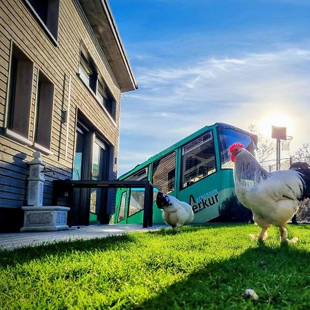 Exklusives Holzhaus Mit Bergbahn - Baden-Baden Im Schwarzwald Villa Eksteriør bilde