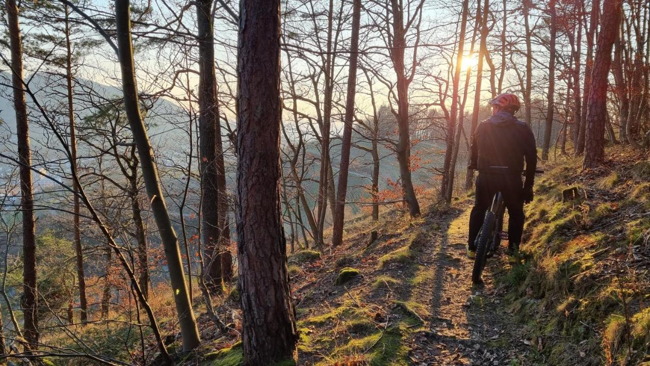 Exklusives Holzhaus Mit Bergbahn - Baden-Baden Im Schwarzwald Villa Eksteriør bilde